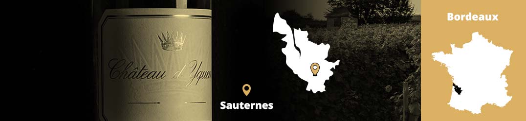Banner-Orizz-Alice-Beaufort.jpg