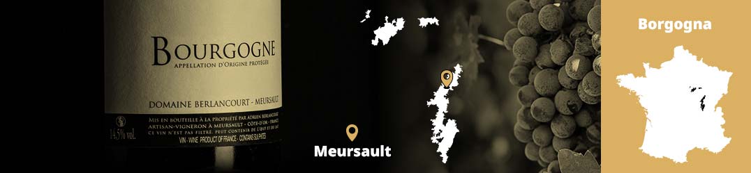 Banner-Orizz-Alice-Beaufort.jpg