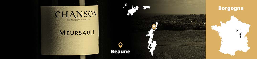 Banner-Orizz-Alice-Beaufort.jpg