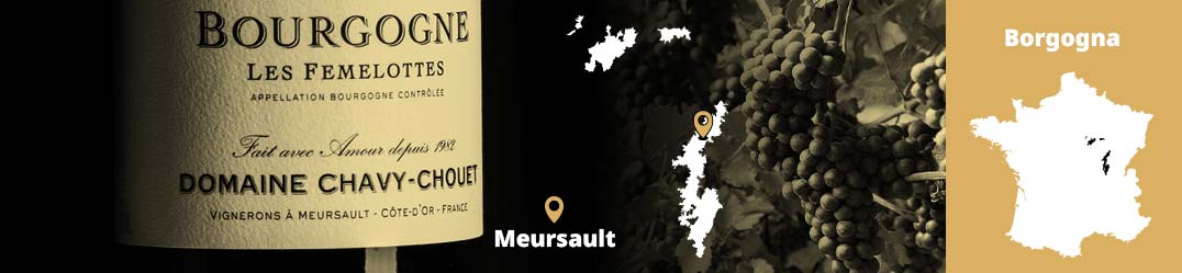 Banner-Orizz-Alice-Beaufort.jpg