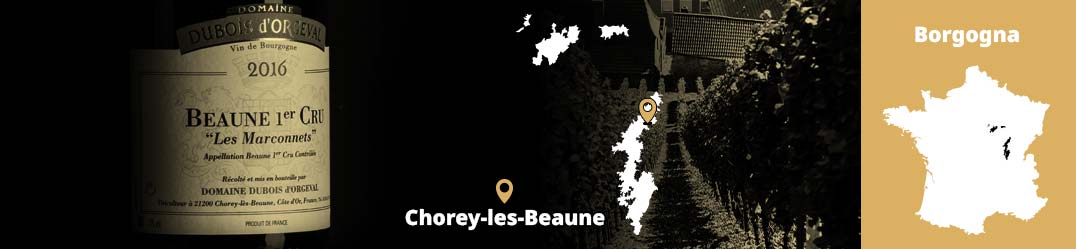 Banner-Orizz-Alice-Beaufort.jpg