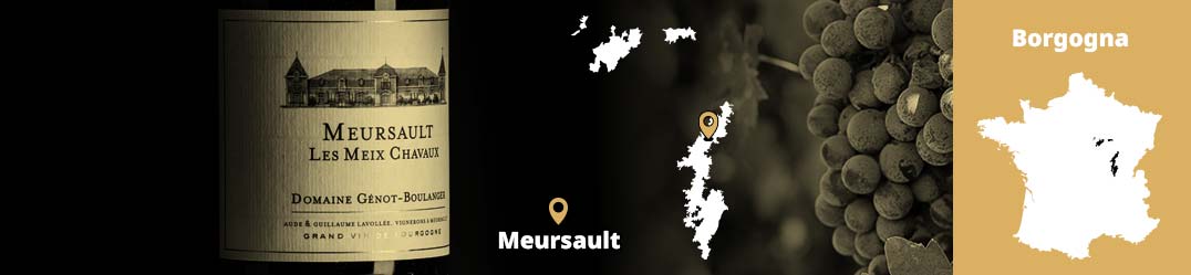 Banner-Orizz-Alice-Beaufort.jpg