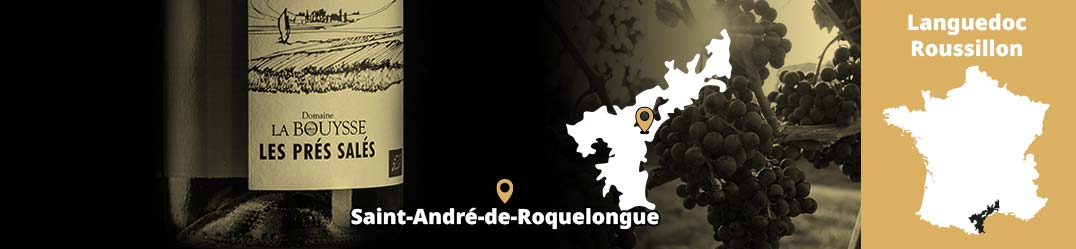 Banner-Orizz-Alice-Beaufort.jpg