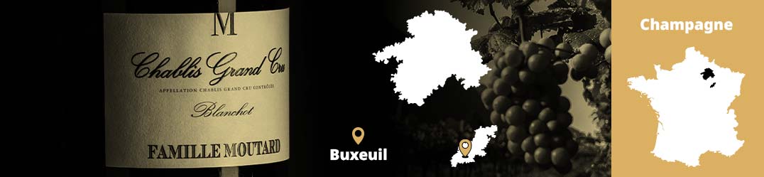 Banner-Orizz-Alice-Beaufort.jpg