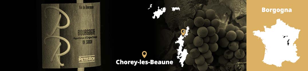 Banner-Orizz-Alice-Beaufort.jpg