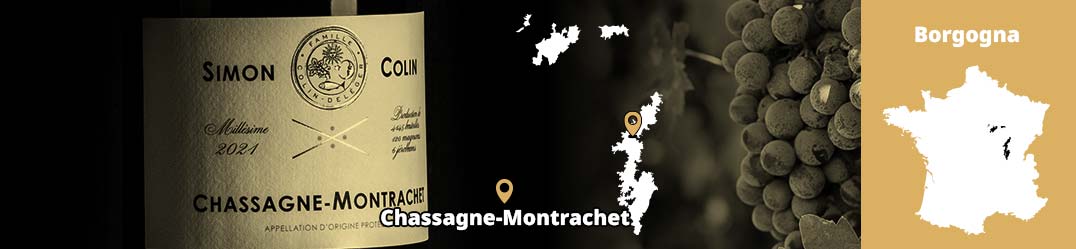Banner-Orizz-Alice-Beaufort.jpg