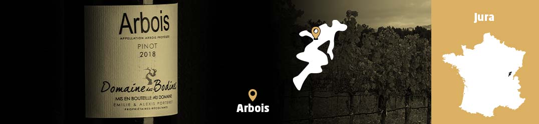 Banner Orizzontale Domaine des Bodines Arbois