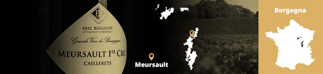 Banner-Orizz-Alice-Beaufort.jpg