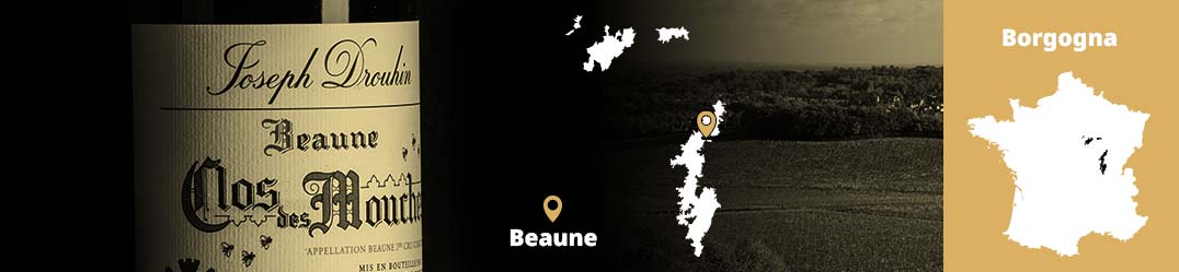 Banner-Orizz-Alice-Beaufort.jpg