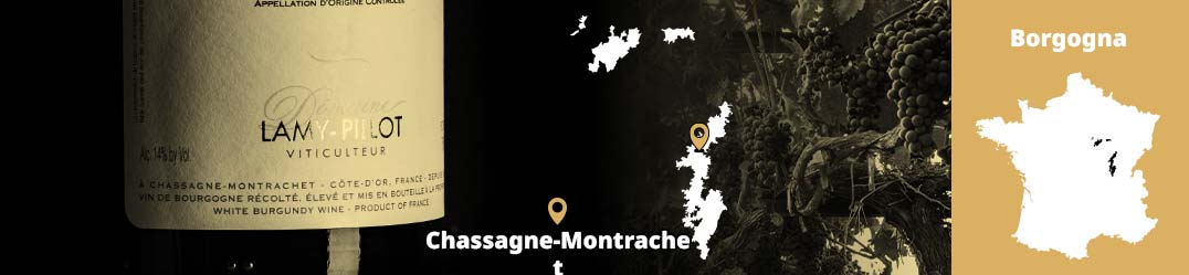 Banner-Orizz-Alice-Beaufort.jpg