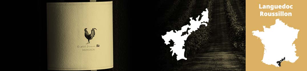 Banner-Orizz-Alice-Beaufort.jpg