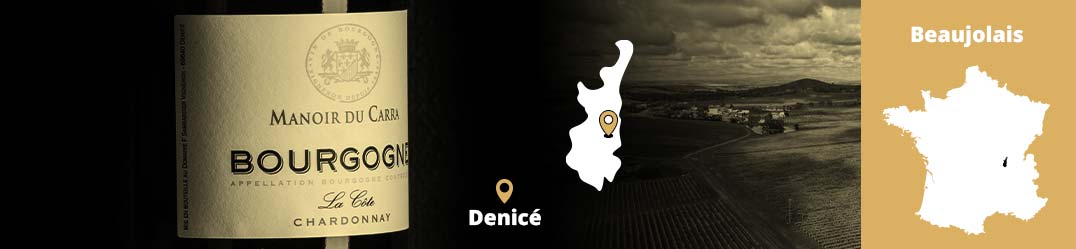 Banner-Orizz-Alice-Beaufort.jpg