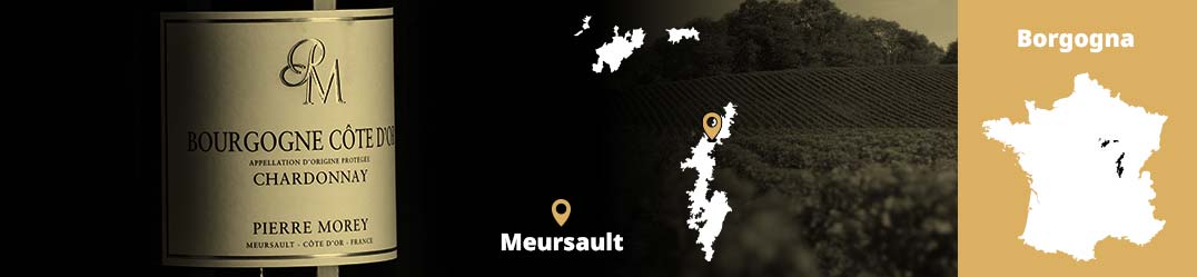Banner-Orizz-Alice-Beaufort.jpg