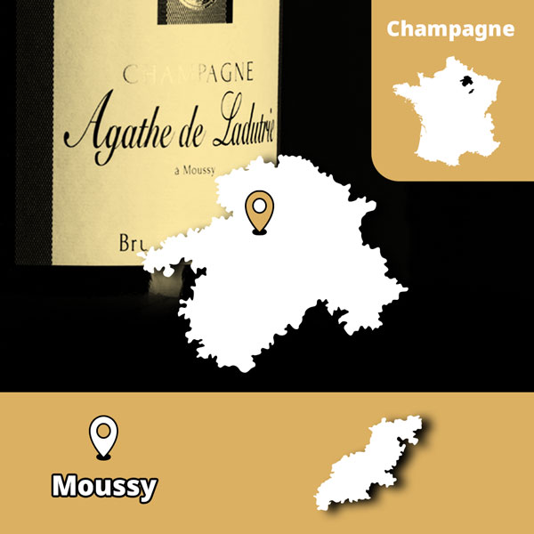 champagne.jpg