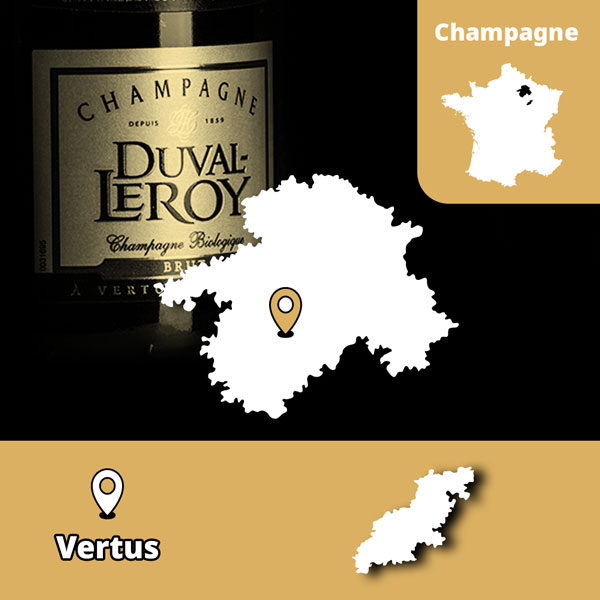 champagne.jpg