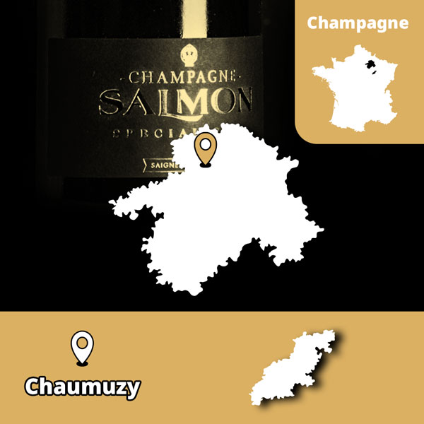 Champagne Salmon