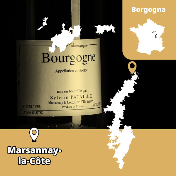 champagne.jpg