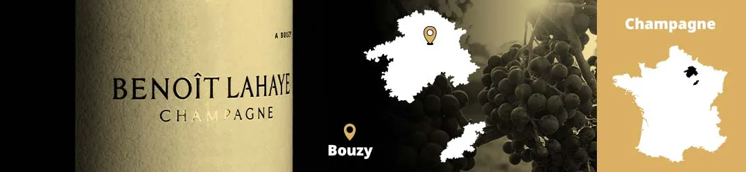 Benoît Lahaye Champagne Bouzy Grand Cru Pinot Noir Biodinamica