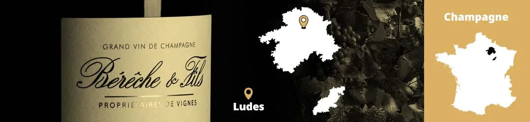Champagne Bérêche et Fils Ludes Montagne de Reims biodinamica artigianale