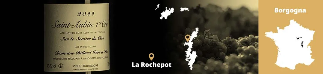 Domaine Billard Père et Fils Hautes-Côtes de Beaune Pinot Noir Chardonnay Borgogna