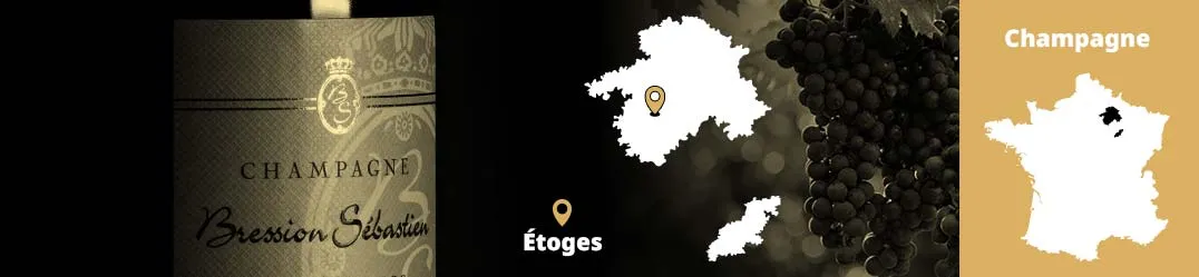 Champagne Bression Sébastien Étoges Côte de Sézanne biologico artigianale