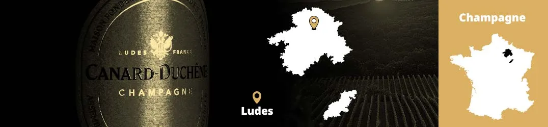 Champagne Canard-Duchêne Ludes Montagne de Reims Charles VII Authentic terroir