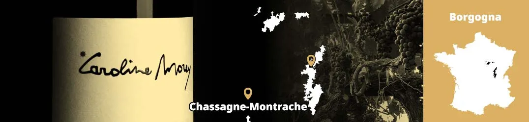Caroline Morey Chassagne-Montrachet Bourgogne Chardonnay Pinot Noir terroir