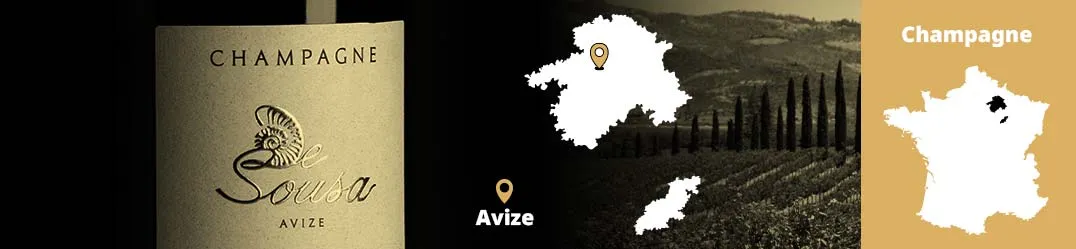 Champagne De Sousa Avize Côte des Blancs biodinamica Grand Cru Chardonnay terroir