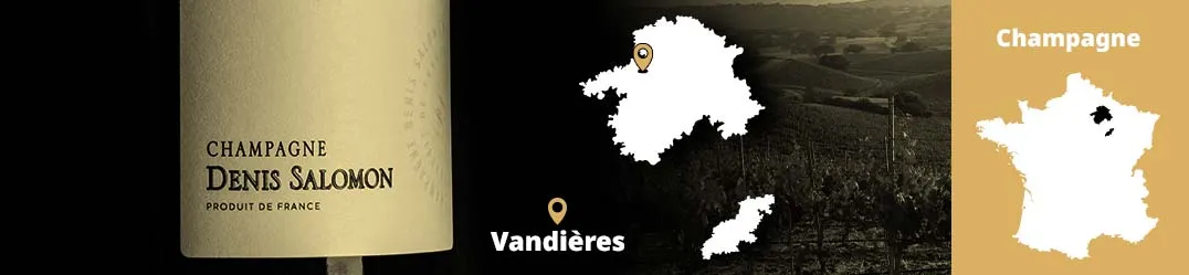 Champagne Denis Salomon Vallée de la Marne Meunier sostenibilità parcelle
