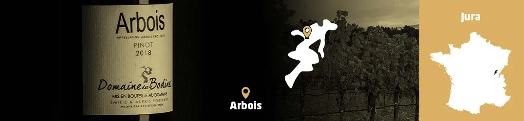 Banner Orizzontale Domaine des Bodines Arbois