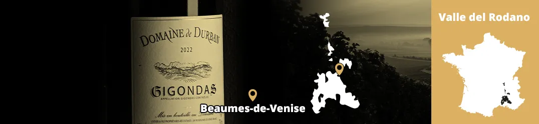 Banner-Orizz-Alice-Beaufort.jpg