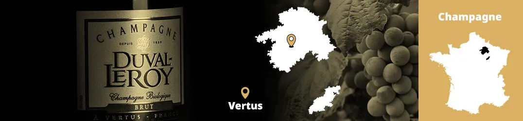 Banner-Orizz-Champagne-Duval-Leroy.jpg
