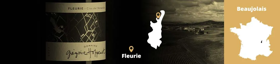 Banner Orizzontale Domaine Grégoire Hoppenot