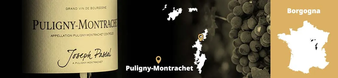 Banner Domaine Joseph Pascal