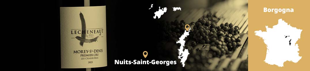 Domaine Lécheneaut, Nuits‑Saint‑Georges