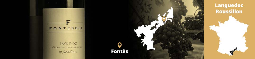 Banner Orizzontale Les Vignerons de Fontès