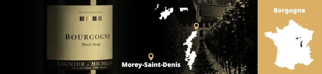 Domaine Virgile Lignier‑Michelot Morey‑Saint‑Denis Pinot Noir Côte de Nuits