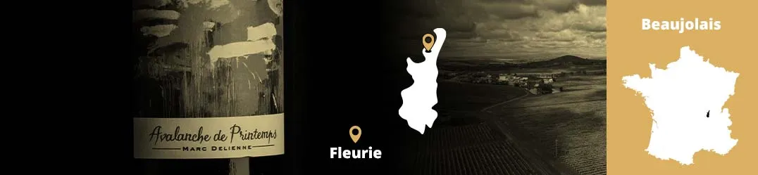 Banner Orizzontale Domaine Marc Delienne Fleurie