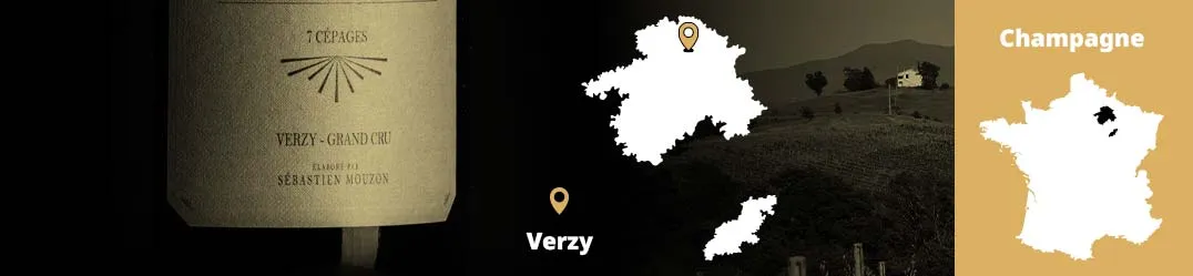 Champagne Mouzon-Leroux & Fils