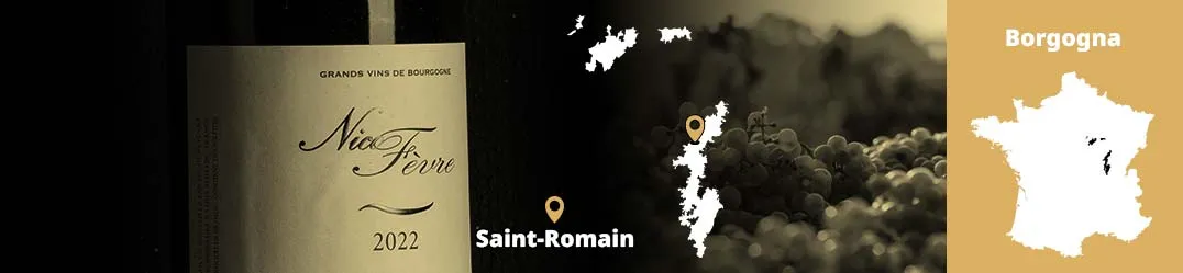Nicolas Fèvre Saint-Romain Borgogna Pinot Noir Chardonnay vini artigianali