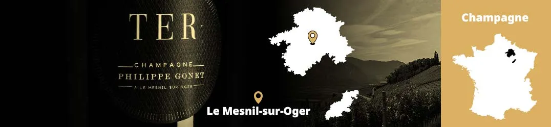 Champagne Philippe Gonet