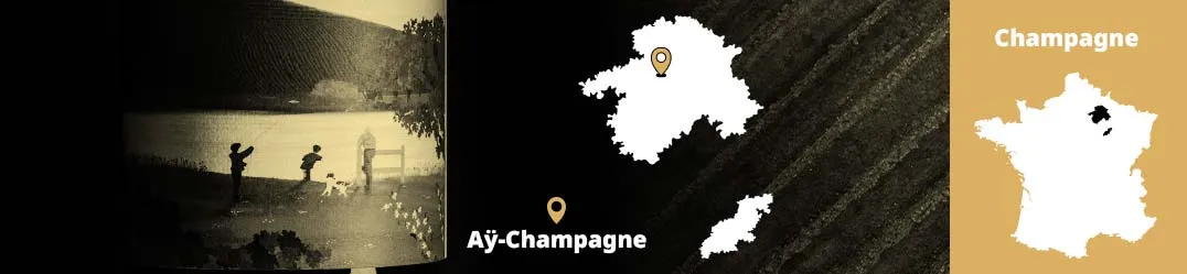 Champagne Romain Henin