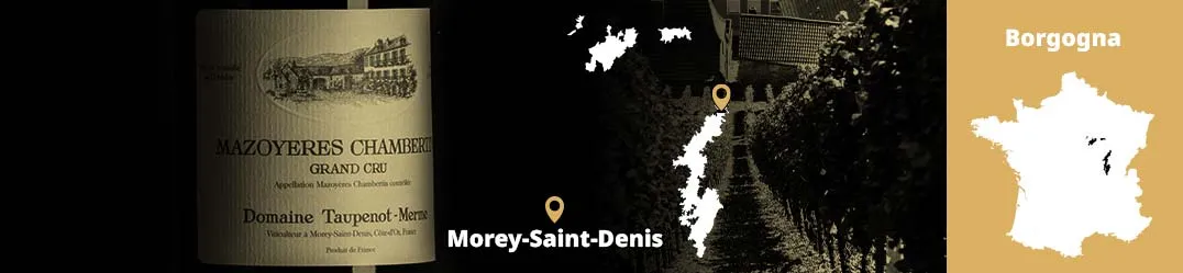 Champagne Ulysse Collin