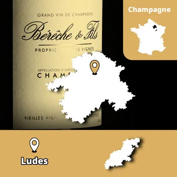 Champagne Bérêche et Fils Montagne de Reims biodinamica