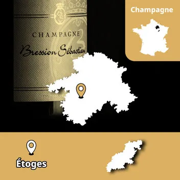 Champagne Bression Sébastien Côte de Sézanne biologico