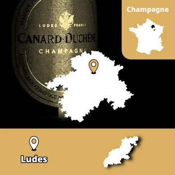 Champagne Canard-Duchêne Ludes terroir