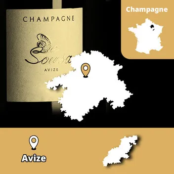 Champagne De Sousa Avize Côte des Blancs biodinamica Grand Cru Chardonnay terroir