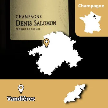 Champagne Denis Salomon Vallée de la Marne Meunier sostenibilità parcelle