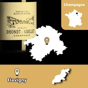 Champagne Dhondt-Grellet Chardonnay Côte des Blancs biodinamico parcella minerale