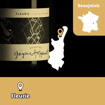 Banner Mobile Domaine Grégoire Hoppenot